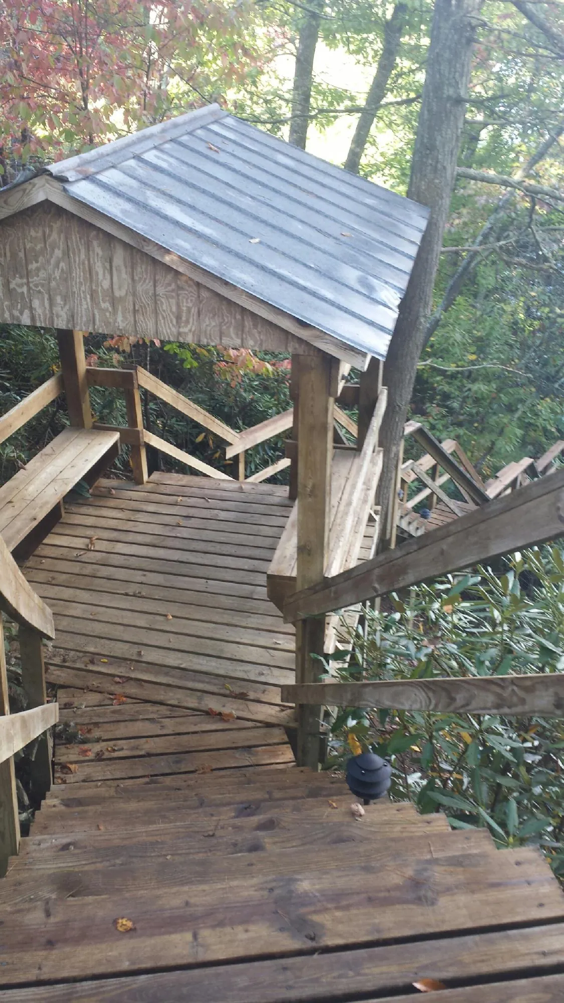 Metal roofed shelter over wooden steps on a wooded walkway — Skylight Repair & Installation work by our crew in Medina